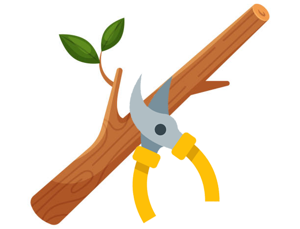 คำร้องแจ้งขอสนับสนุนตัดกิ่งไม้ (พื้นที่สาธารณะ)